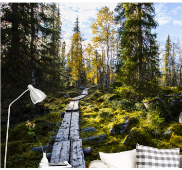 Tapisserie nature chemin paisible en forêt - TenStickers