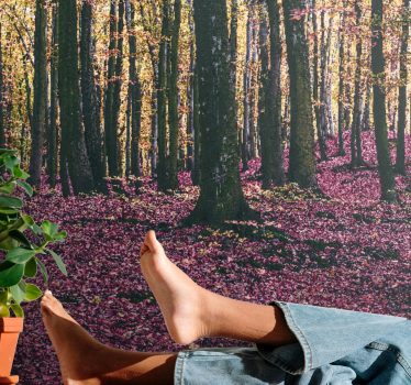 Tapisserie nature scène de forêt sereine - TenStickers