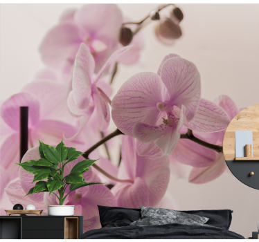 Tapisserie orchidée fleurs d'orchidées délicates - TenStickers