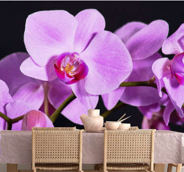 Tapisserie orchidée fleurs d'orchidées élégantes - TenStickers