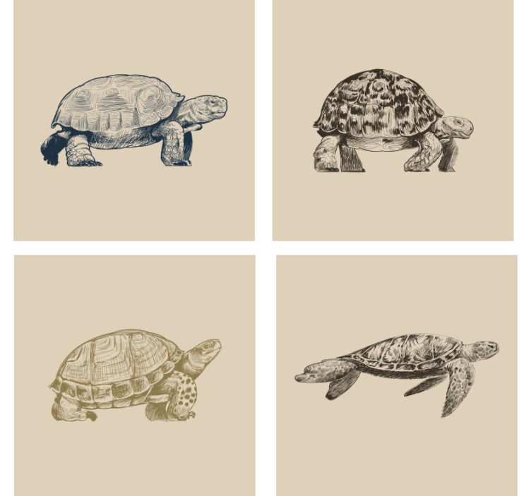 Sous verre vintage illustrations de tortues rétro - TenStickers
