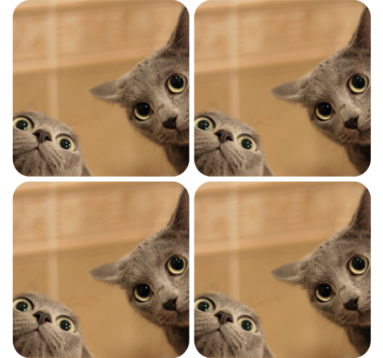 Sous verre geek visages de chat curieux - TenStickers