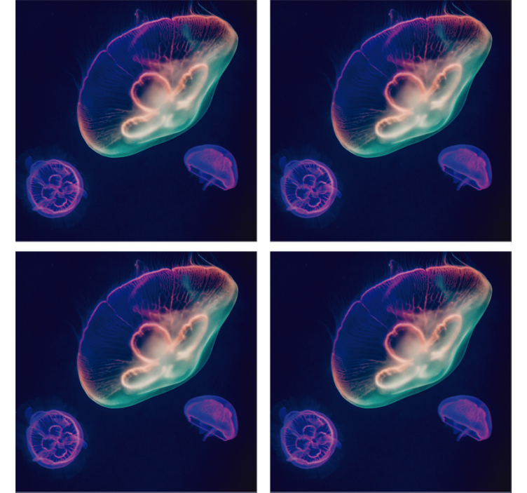 Dessous de verre Méduse multicolore - TenStickers