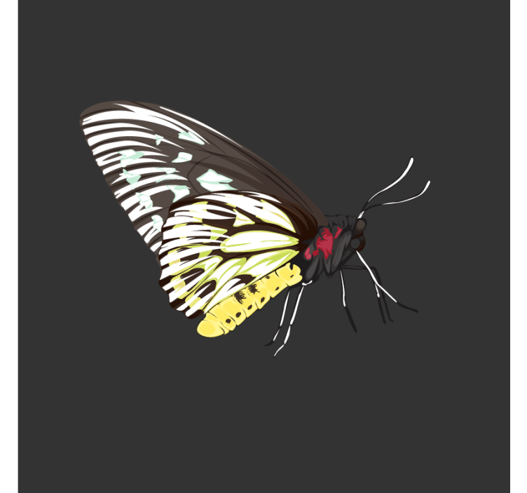 Sous verre geek art de papillons colorés - TenStickers