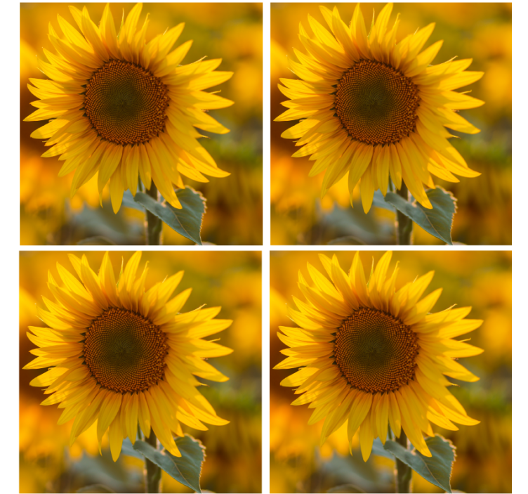 Sous verre moderne arrangement de tournesols vibrants - TenStickers