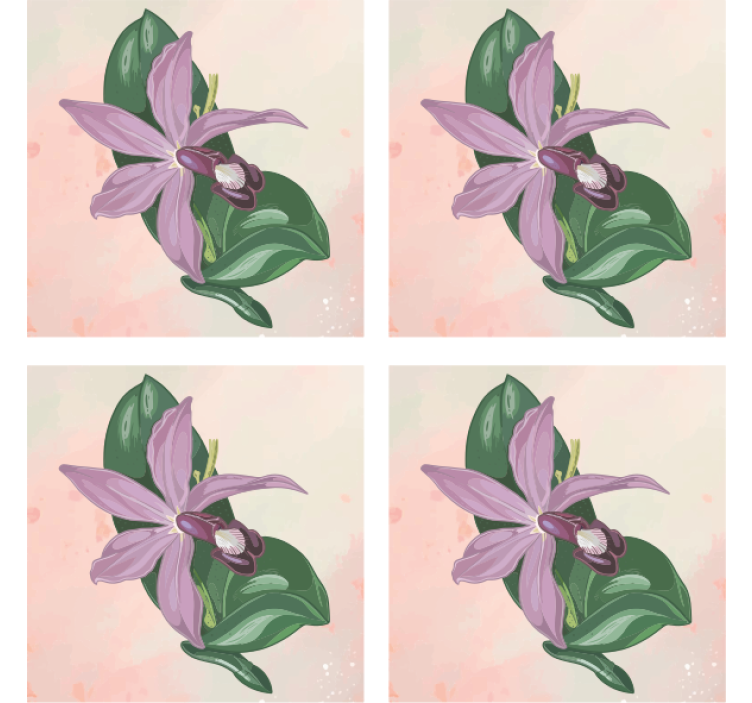 Sous verre moderne fleur d'orchidée élégante - TenStickers