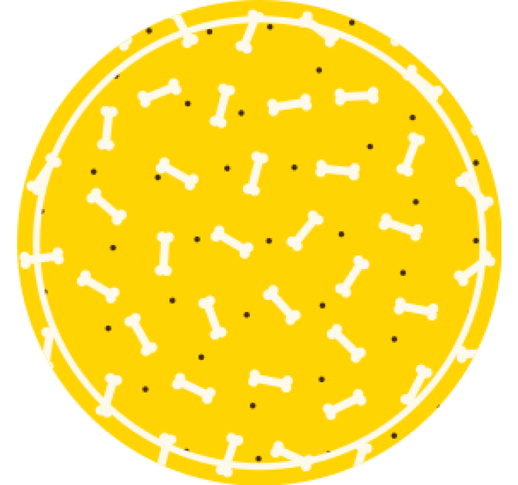 Dessous de verre moderne Os de chien mignon fond jaune - TenStickers