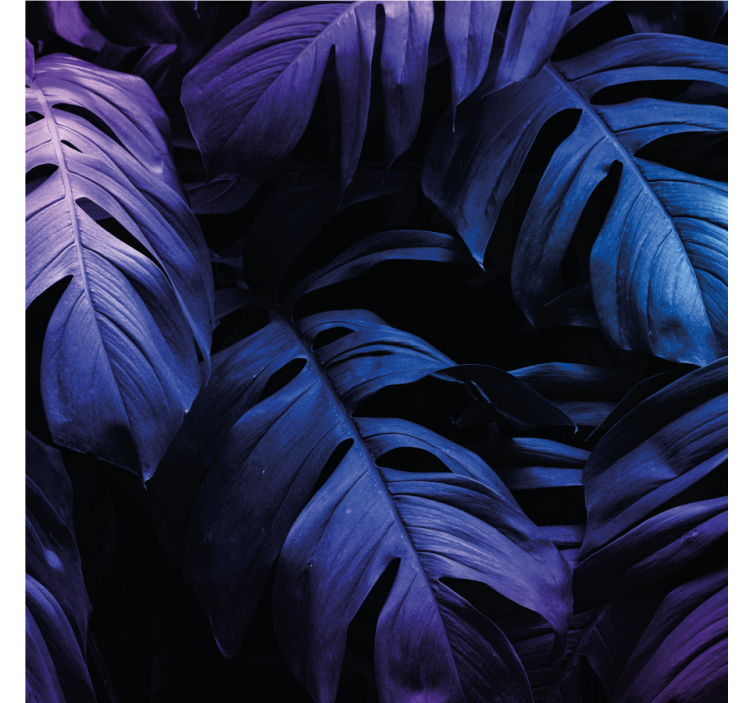 Sous verre motifs de feuillage verdoyant - TenStickers