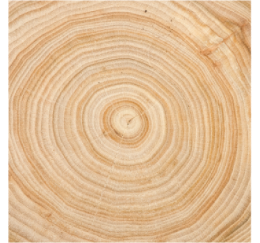 Sous verre cercle effet bois - TenStickers