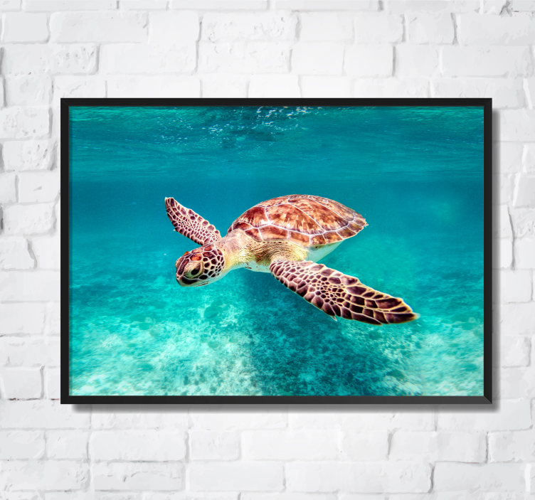 Poster image animaux tortue de mer - TenStickers