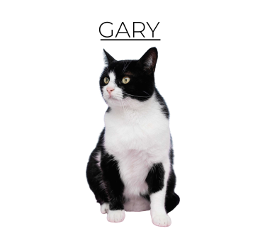 Poster animaux minimaliste personnalisé - TenStickers