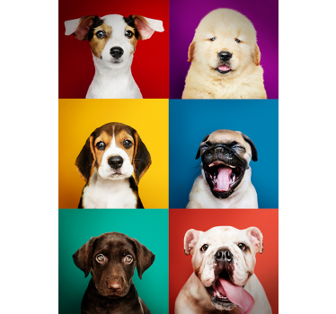 Affiche de chiot chien - TenStickers