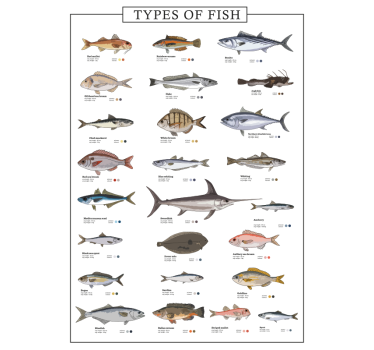 Affiche de poissons - TenStickers