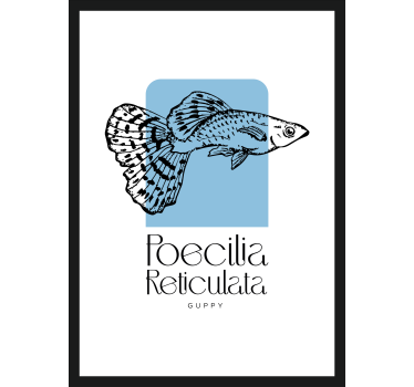 Poster blanc et bleu poisson Guppy - TenStickers
