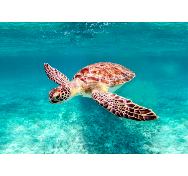 Poster image animaux tortue de mer - TenStickers