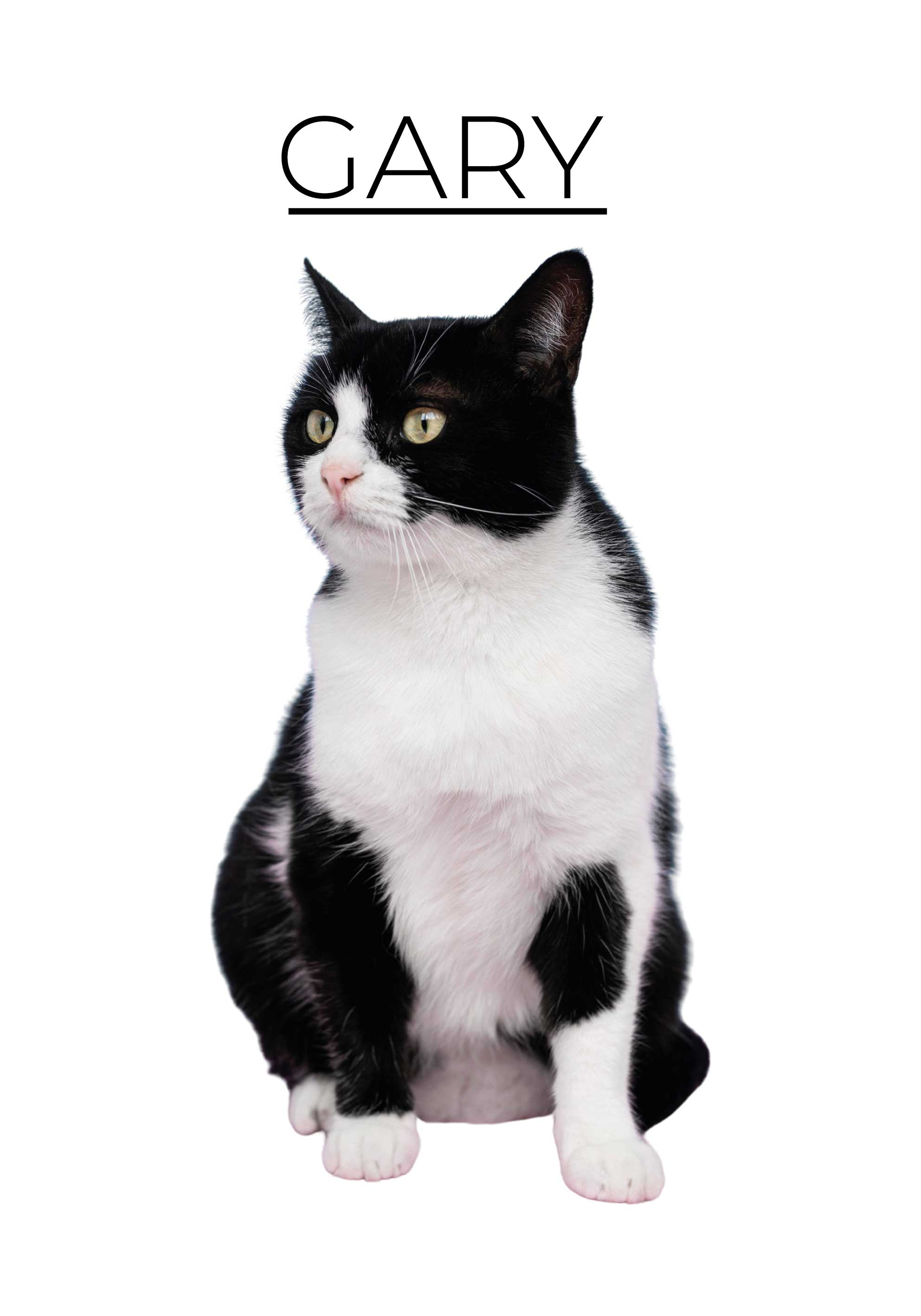 Poster animaux minimaliste personnalisé - TenStickers