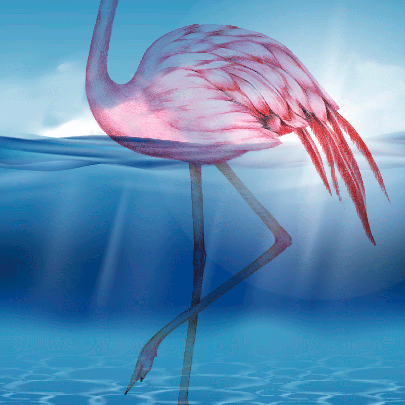 Poster salon design sous-marin de flamant rose - TenStickers
