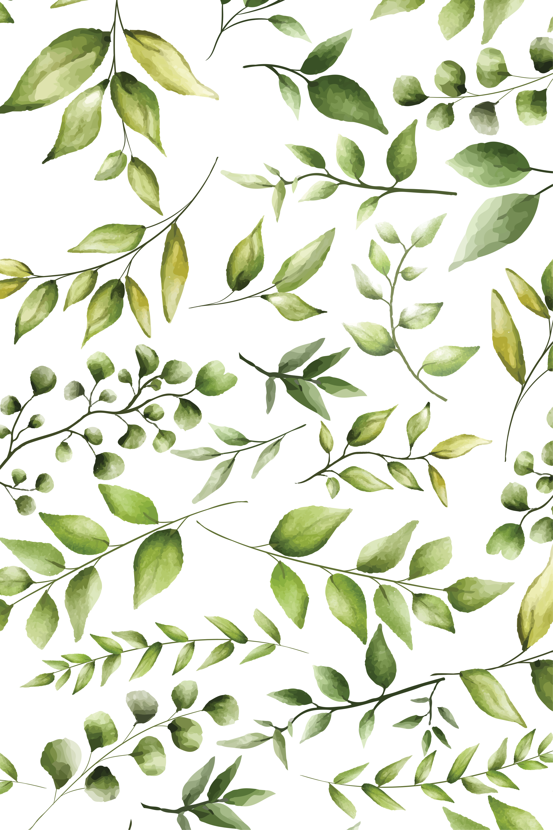 Poster plantes feuilles d'eucalyptus aquarelle - TenStickers