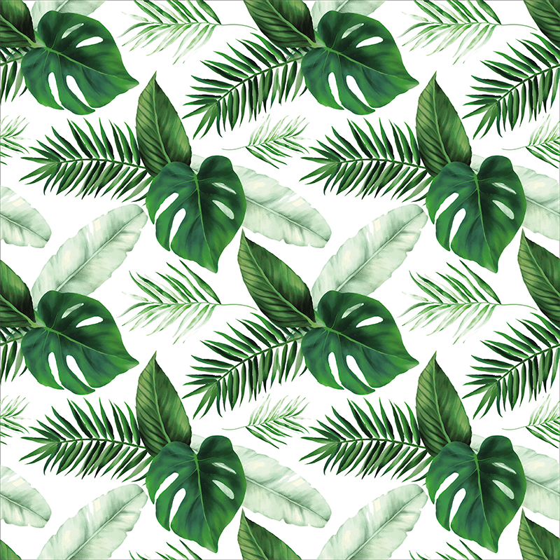 Poster plantes dessin de feuilles tropicales - TenStickers