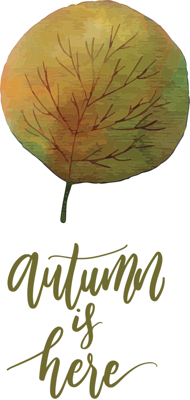 Poster arbre automne est là - TenStickers