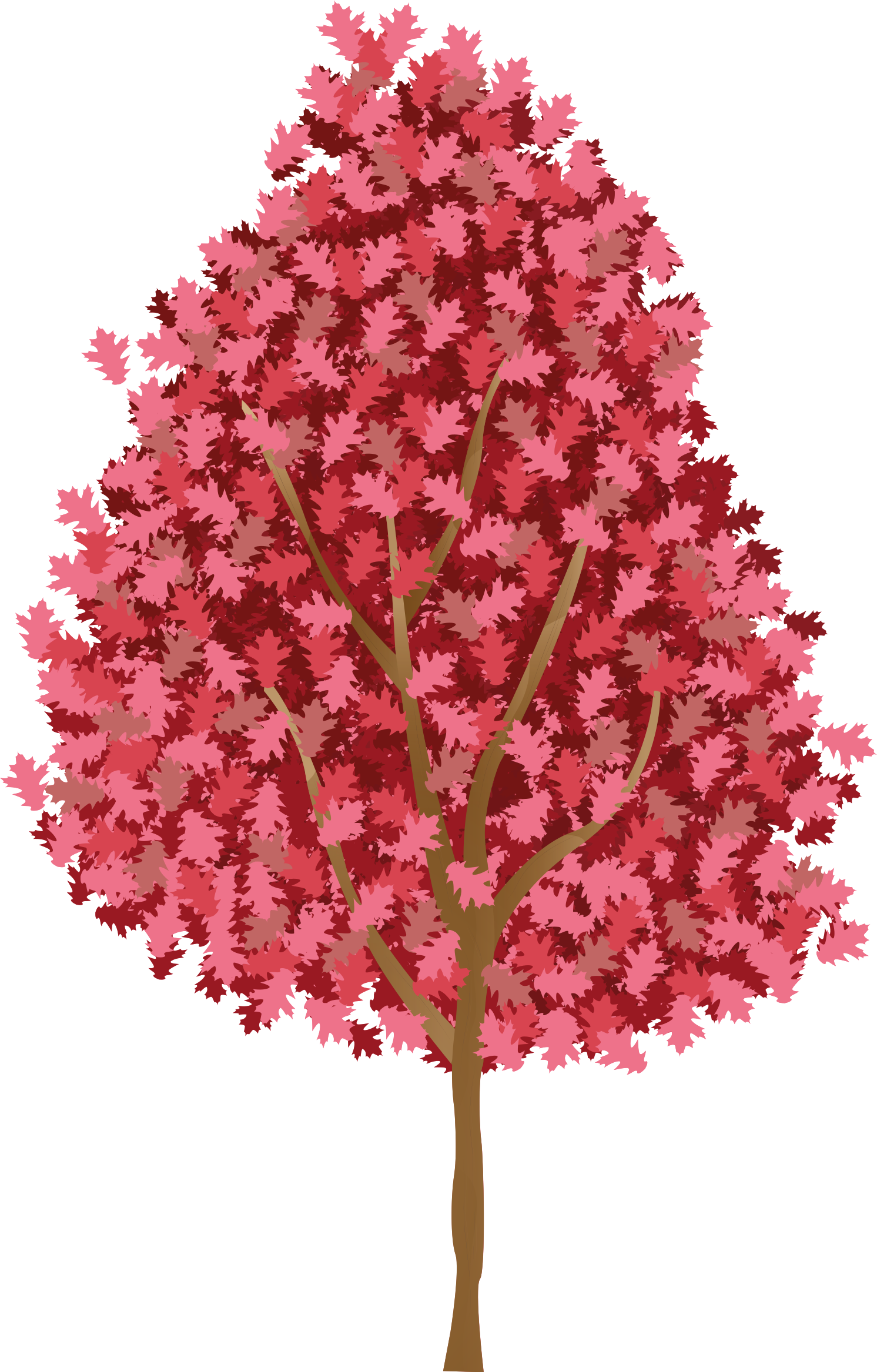 Poster arbre avec fleurs roses - TenStickers