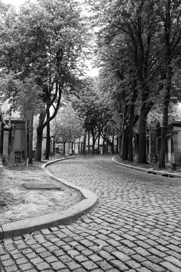 Poster paysages chemin noir et blanc - TenStickers