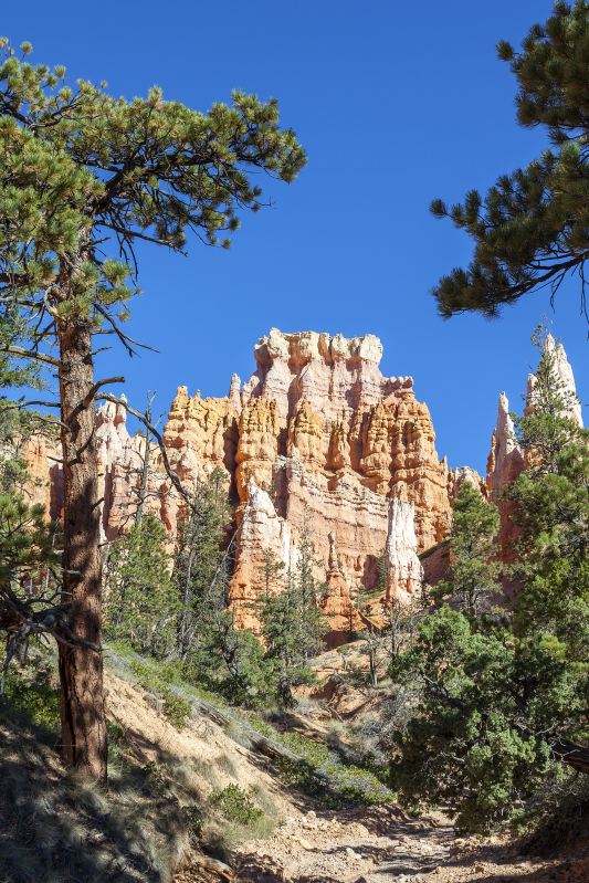 Poster paysages bryce canyon - TenStickers