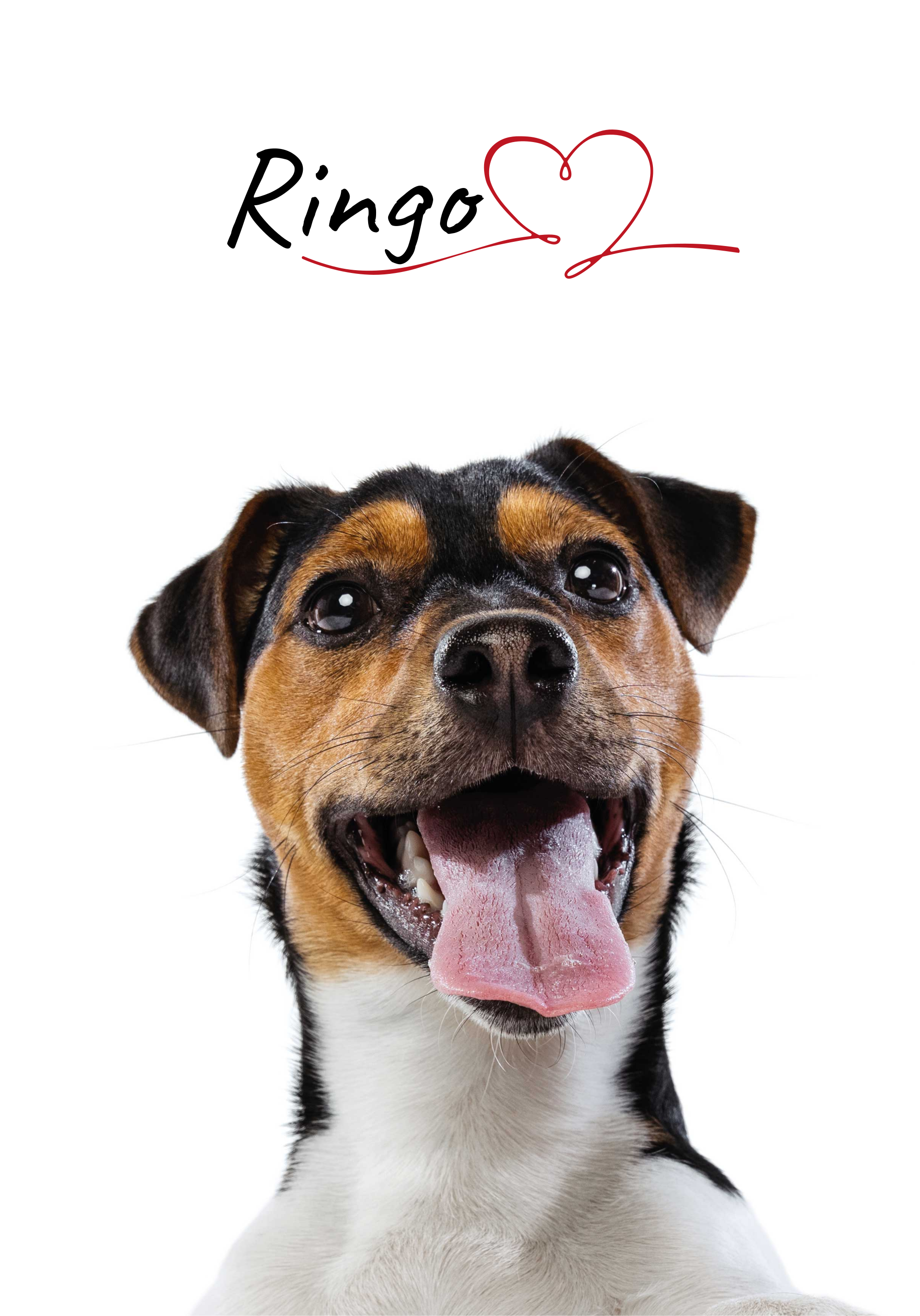 Affiche personnalisée d'amour de chien pour le mur - TenStickers