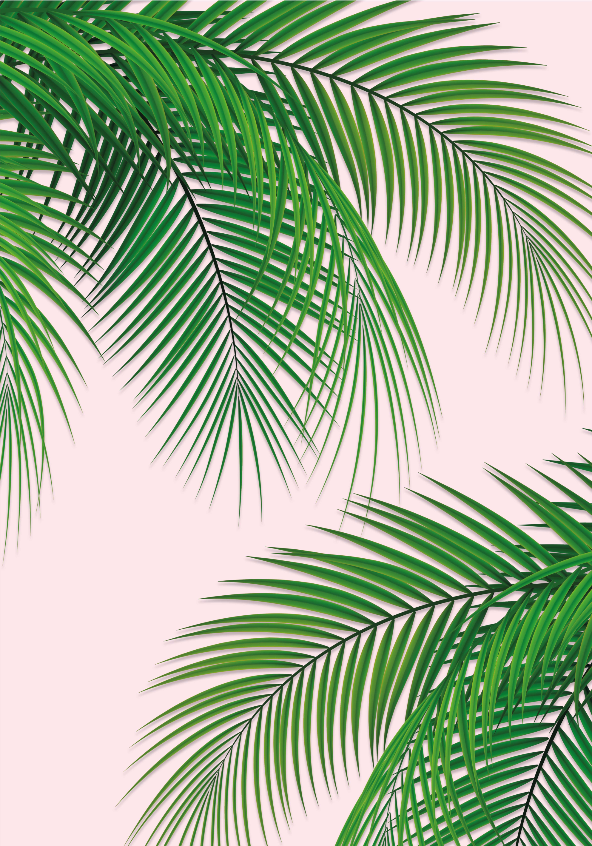 Poster arbre feuille tropicale  - TenStickers