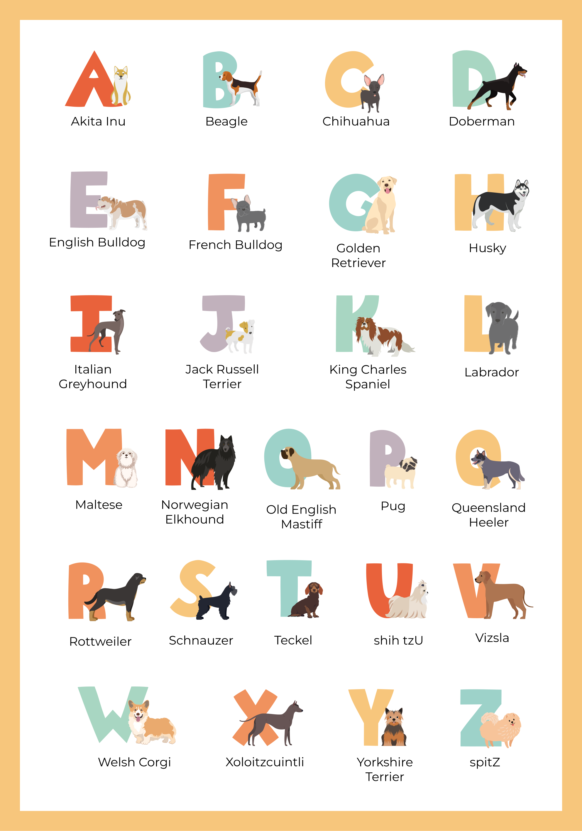 Poster chiens races de chiens alphabétique - TenStickers