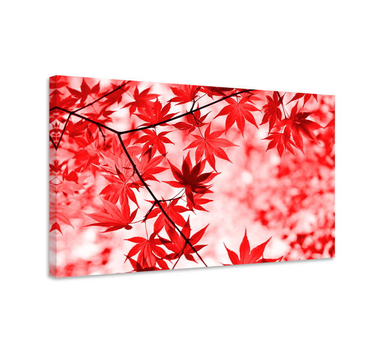 Tableau fleurs et plantes feuilles d'érable rouge vif - TenStickers