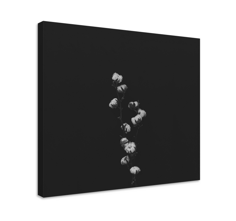 Tableau végétal Coton - TenStickers