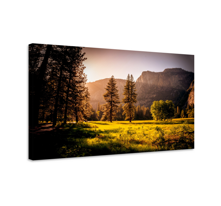 Tableau paysage Herbe soleil vue montagne - TenStickers