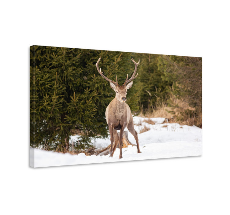 Tableau cerf Paysage d'hiver avec - TenStickers