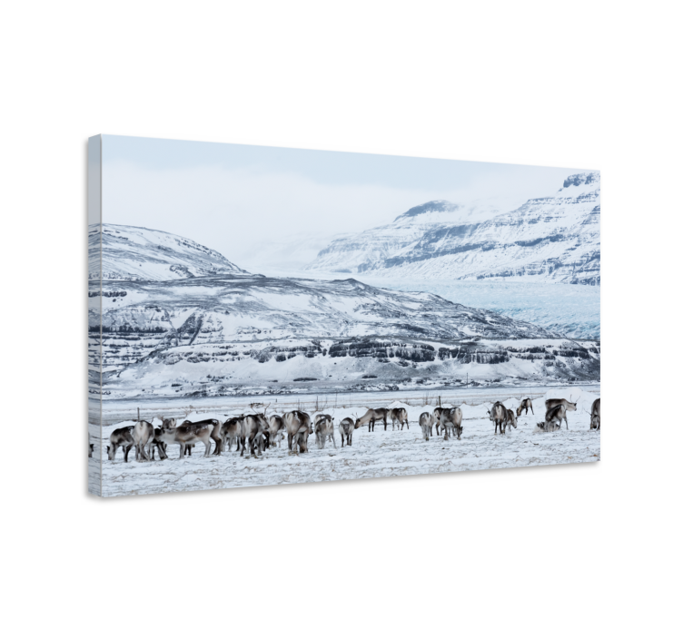 Tableau cerf Cerf paysage enneigé - TenStickers