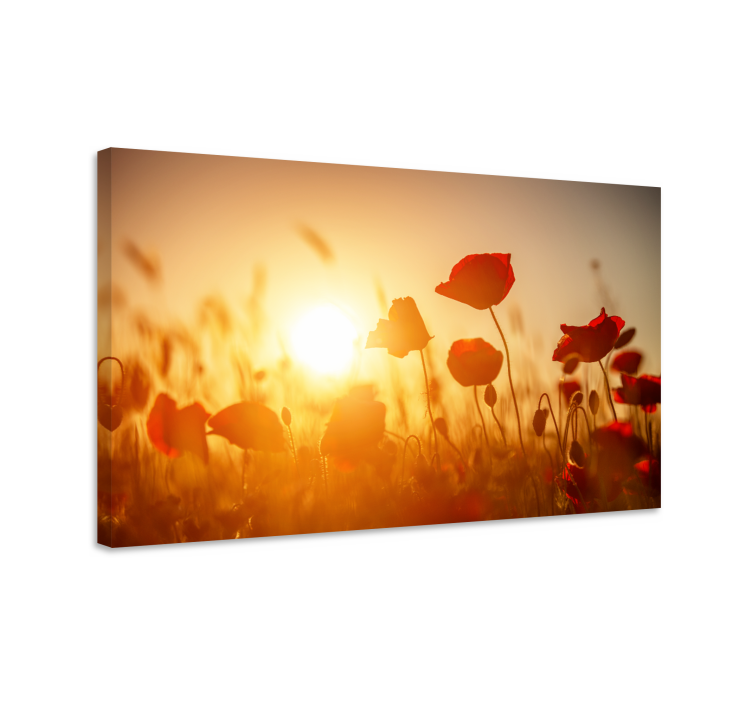 Tableau fleurs Fleurs rouges au coucher du soleil - TenStickers