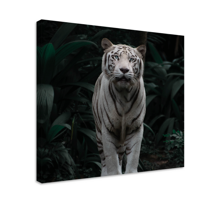 Tableau animal Tigre blanc - TenStickers