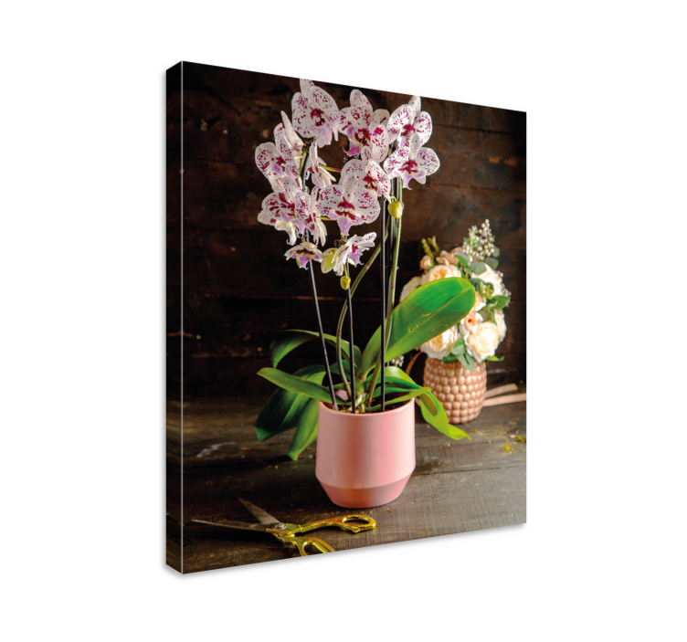 Tableau fleurs et plantes arrangement d'orchidées - TenStickers