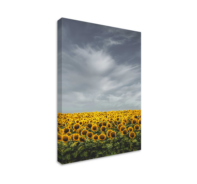 Tableau fleurs Long champ de tournesol - TenStickers