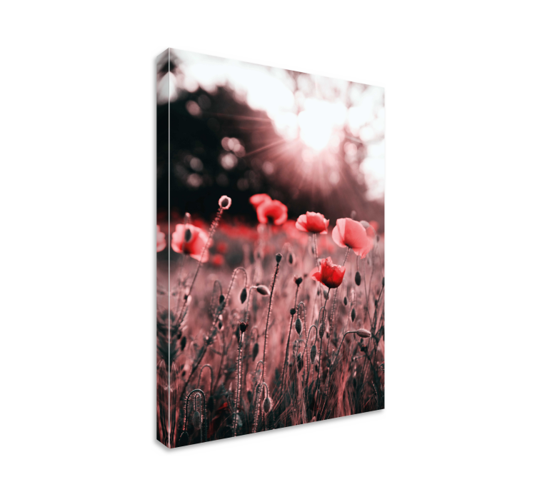 Tableau fleurs Vague champ de coquelicots - TenStickers