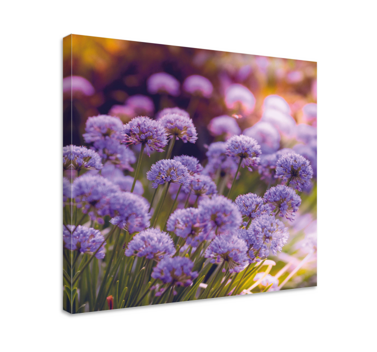 Tableau fleurs Champ de fleurs violettes - TenStickers
