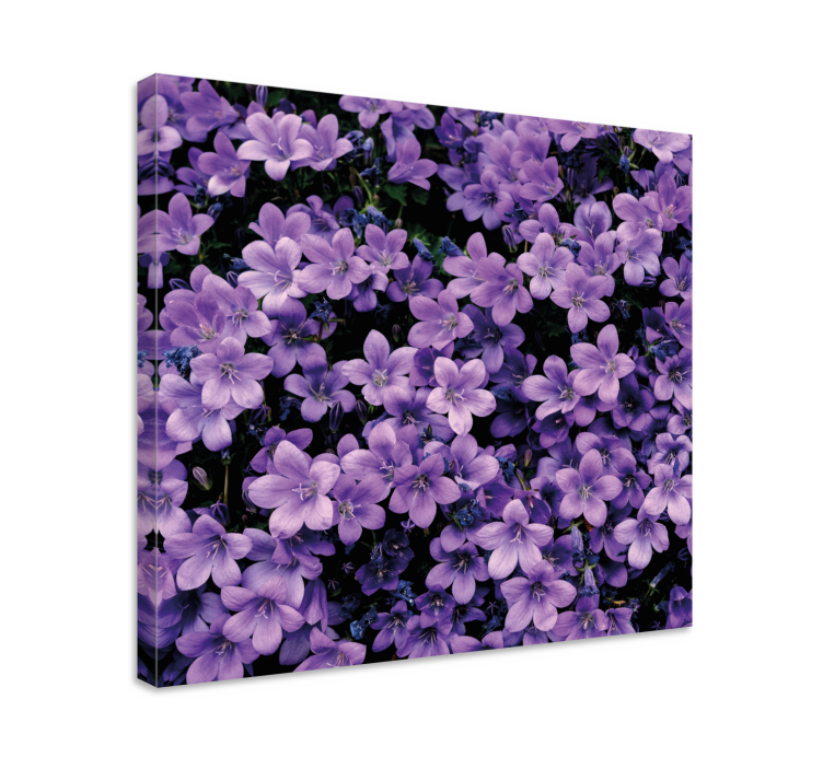 Tableau fleurs Fleurs violettes vagues - TenStickers