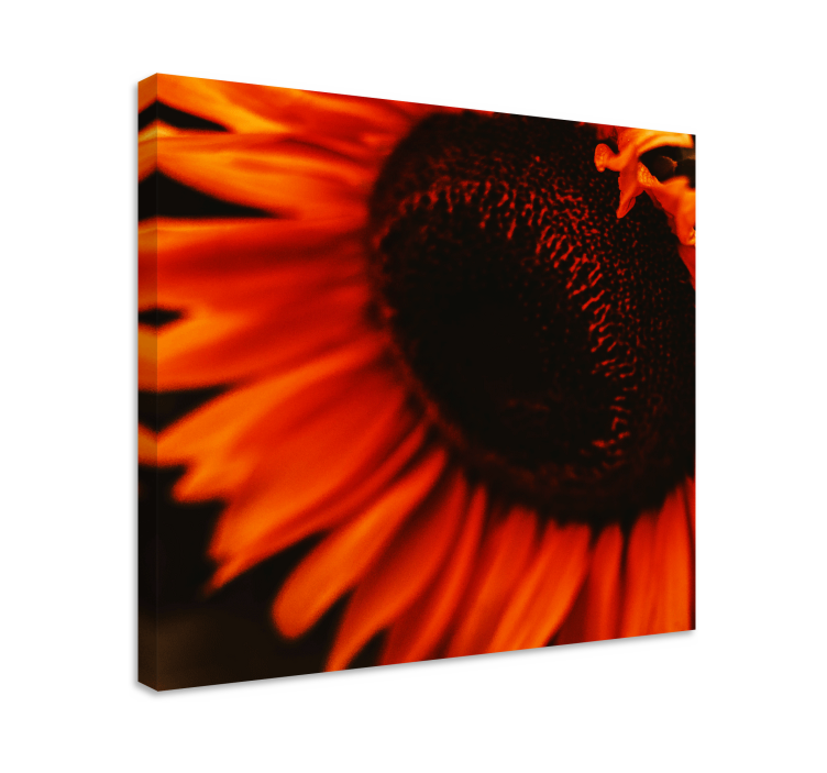 Tableau fleurs Tournesol orange - TenStickers