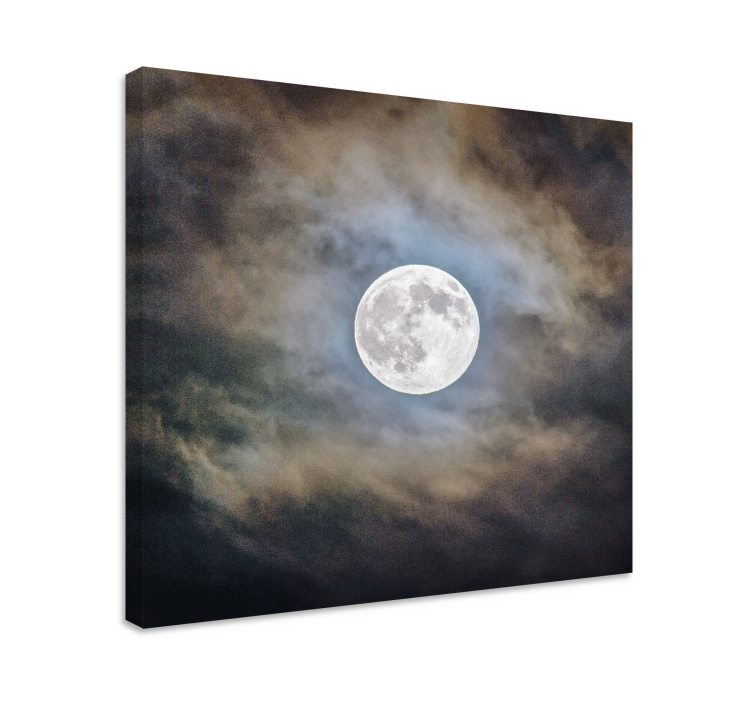 Tableau paysage Nuit de pleine lune - TenStickers