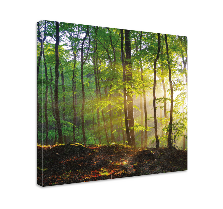 Tableau paysage Promenade en forêt au soleil - TenStickers