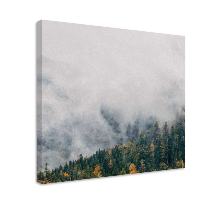 Tableau arbres paysage de forêt brumeuse - TenStickers
