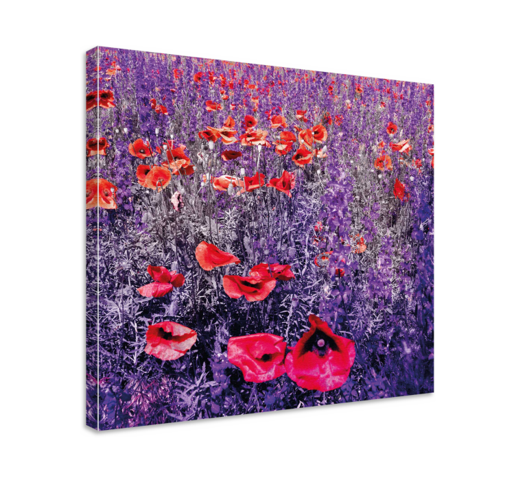 Tableau fleurs et plantes champ de coquelicots lumineux - TenStickers