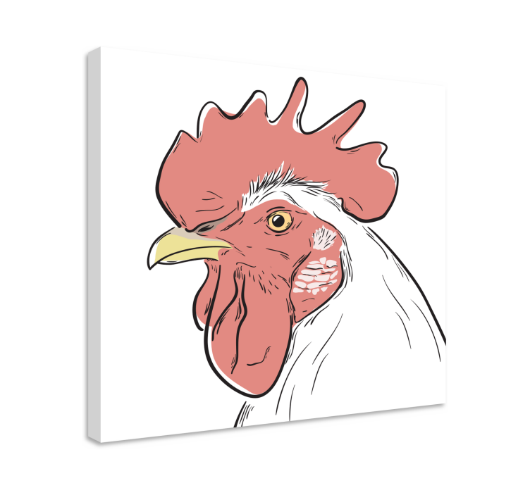 Tableau oiseaux Portrait de poulet blanc - TenStickers