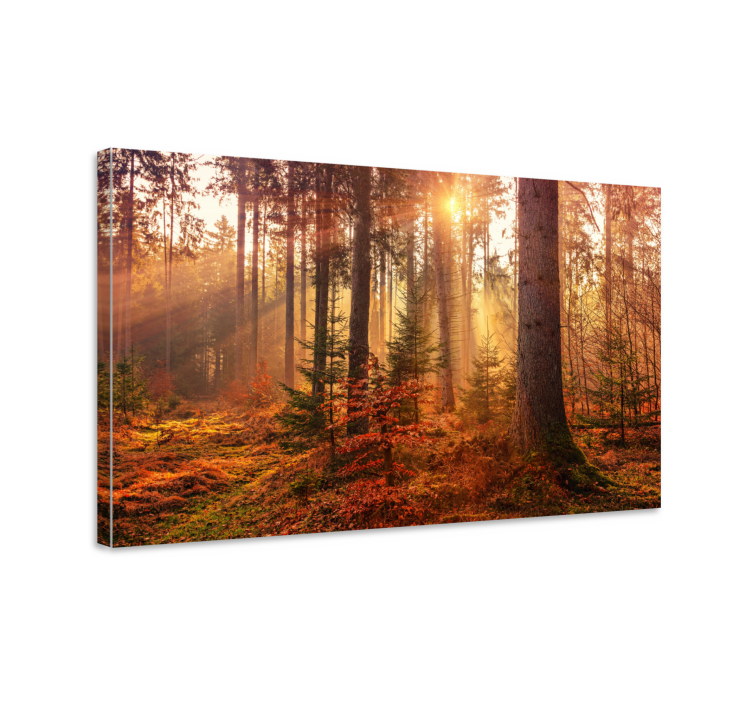 Tableau paysage Forêt d'automne parfaite - TenStickers