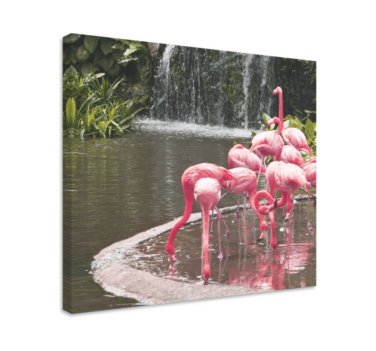 Tableau cuisine Joli paysage de flamants roses - TenStickers